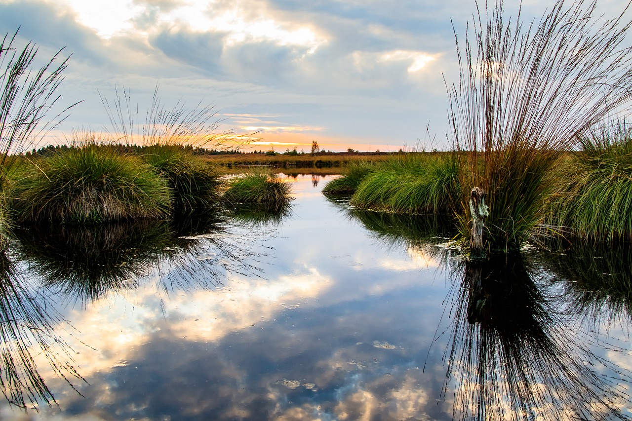 Living Laboratories - The Role of Biosphere Reserves in Conservation Science